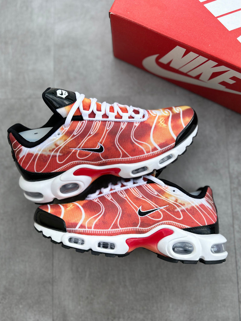 Air Max Plus Tn Light Photography - Luc Hype