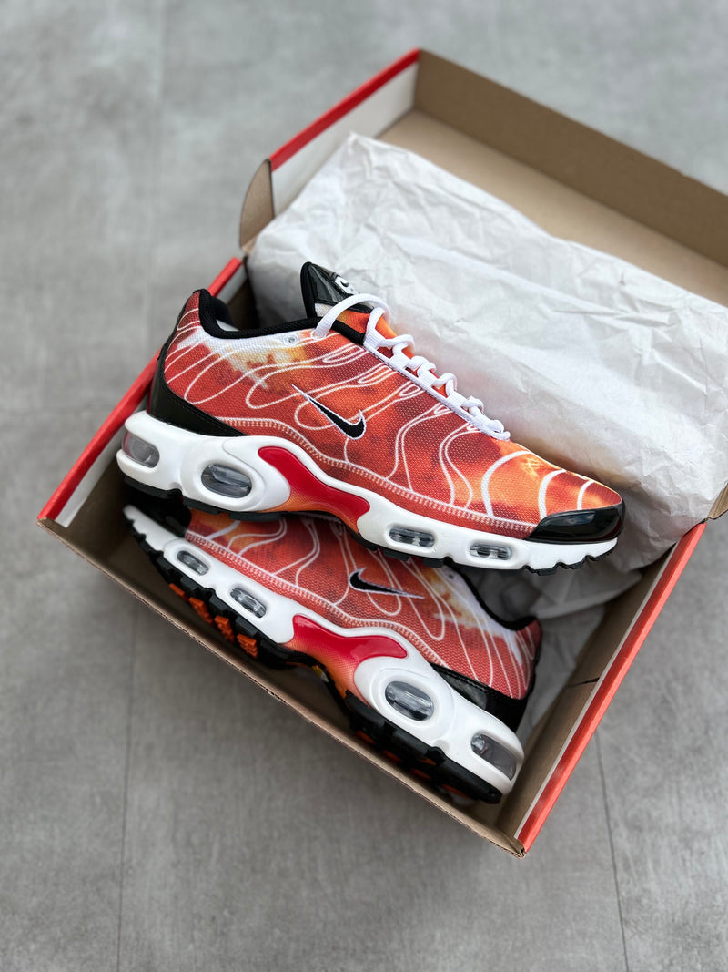 Air Max Plus Tn Light Photography - Luc Hype