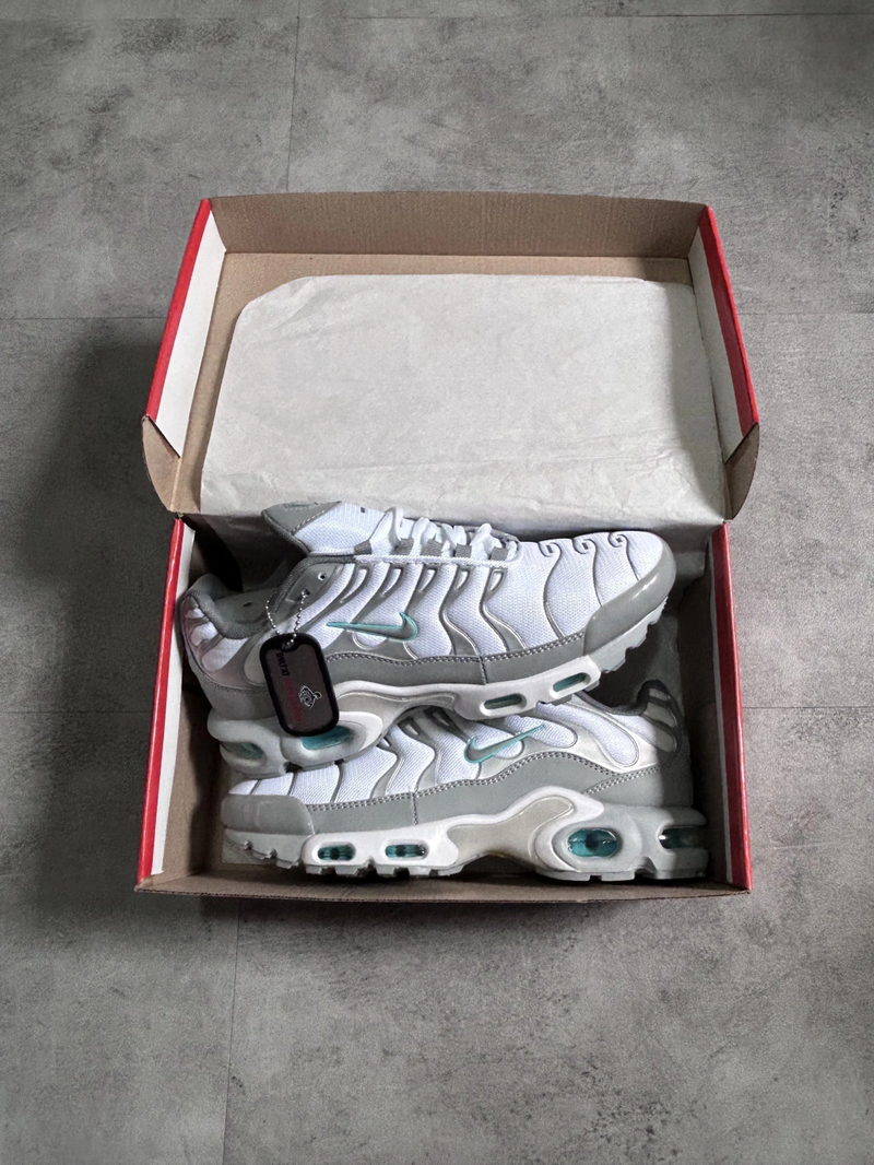 Air Max Tn Plus 'Glacier Ice