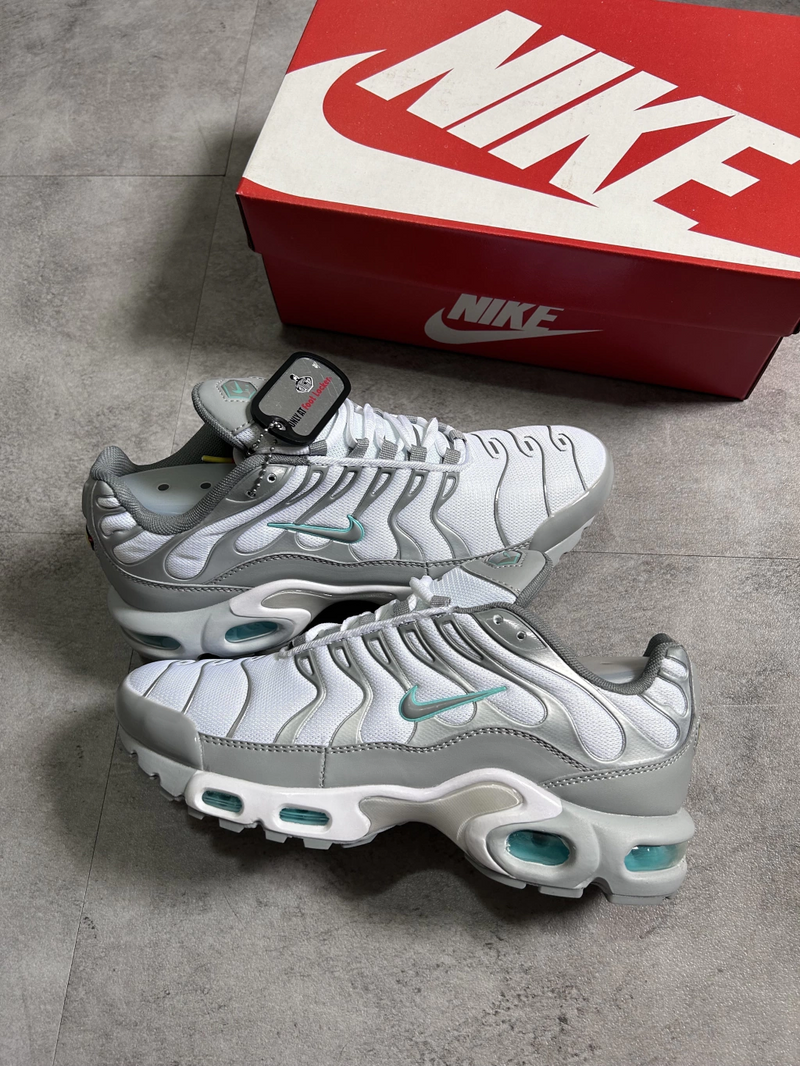 Air Max Tn Plus 'Glacier Ice