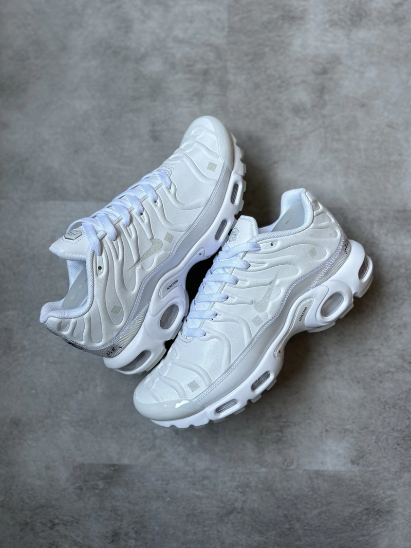 Air Max Tn 'Platina Tint