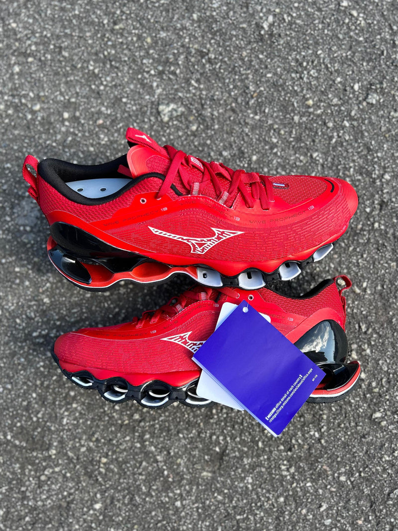 Mizuno Prophecy 13