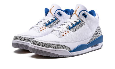 Air Jordan 3 Retro "Wizards"