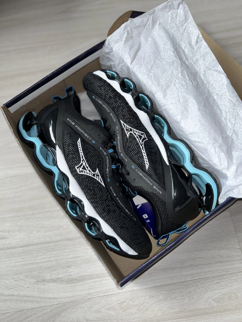 Mizuno Prophecy 13